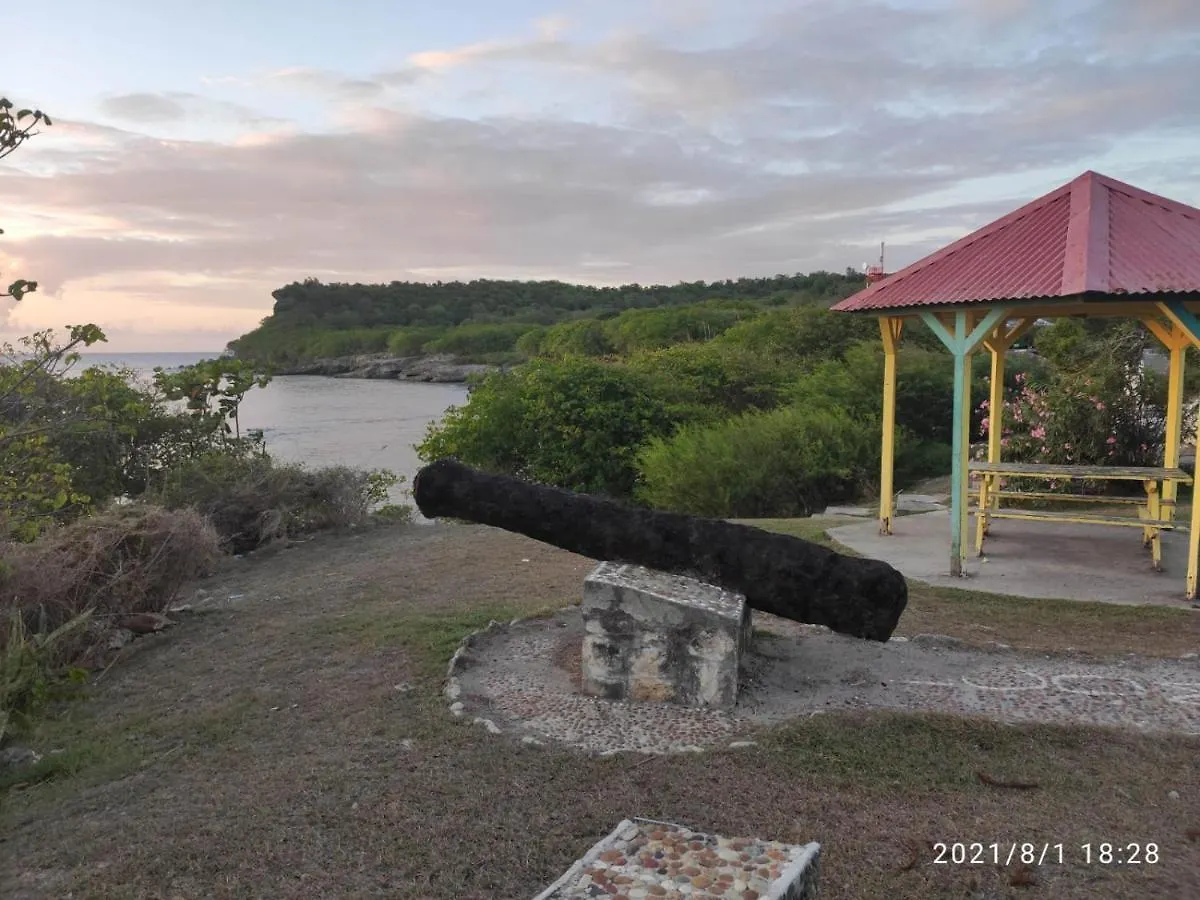 Gites Les Anacardiers Iguane Grande Anse