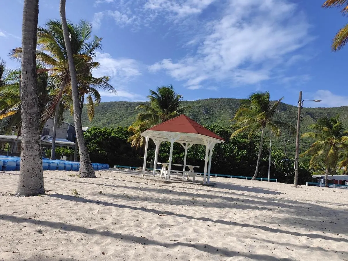 Apartment Gites Les Anacardiers Iguane Grande Anse