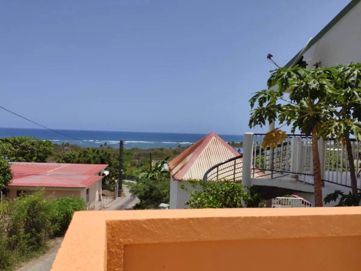 Gites Les Anacardiers Iguane Grande Anse  Guadeloupe