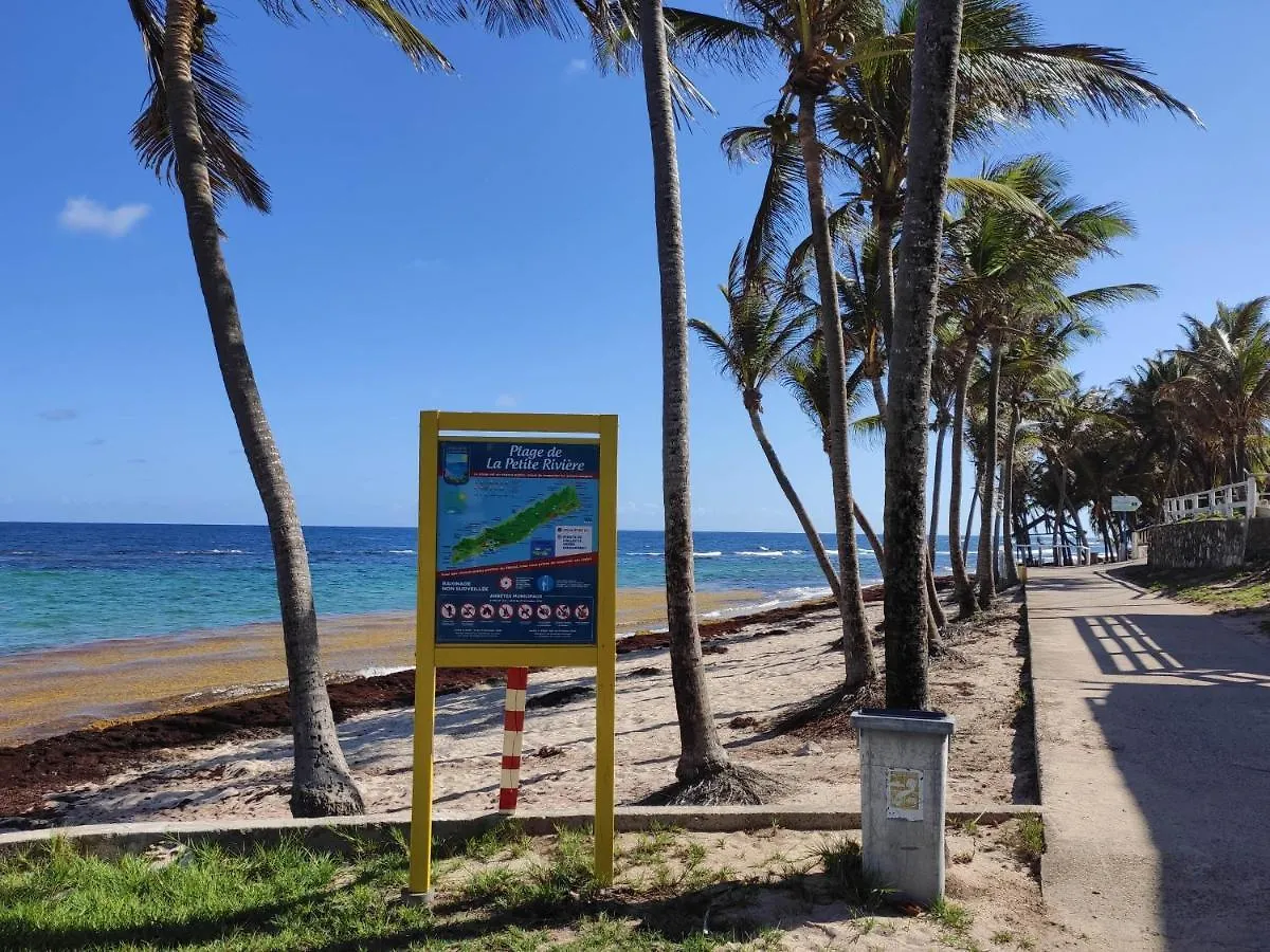 Apartment Gites Les Anacardiers Iguane Grande Anse  Guadeloupe