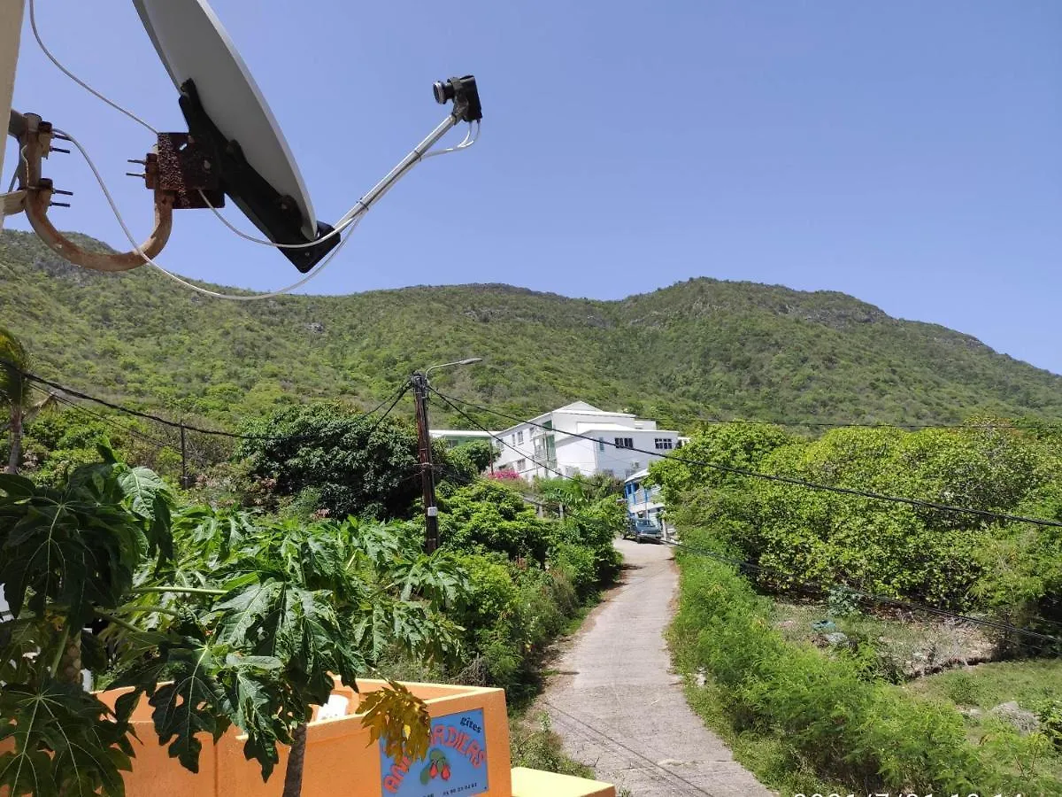 Apartment Gites Les Anacardiers Iguane Grande Anse