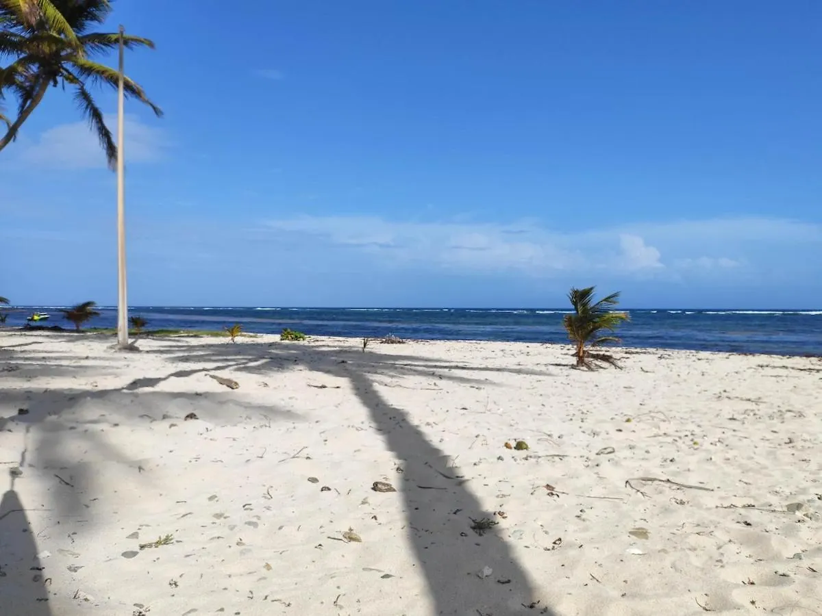 Gites Les Anacardiers Iguane Grande Anse  Guadeloupe