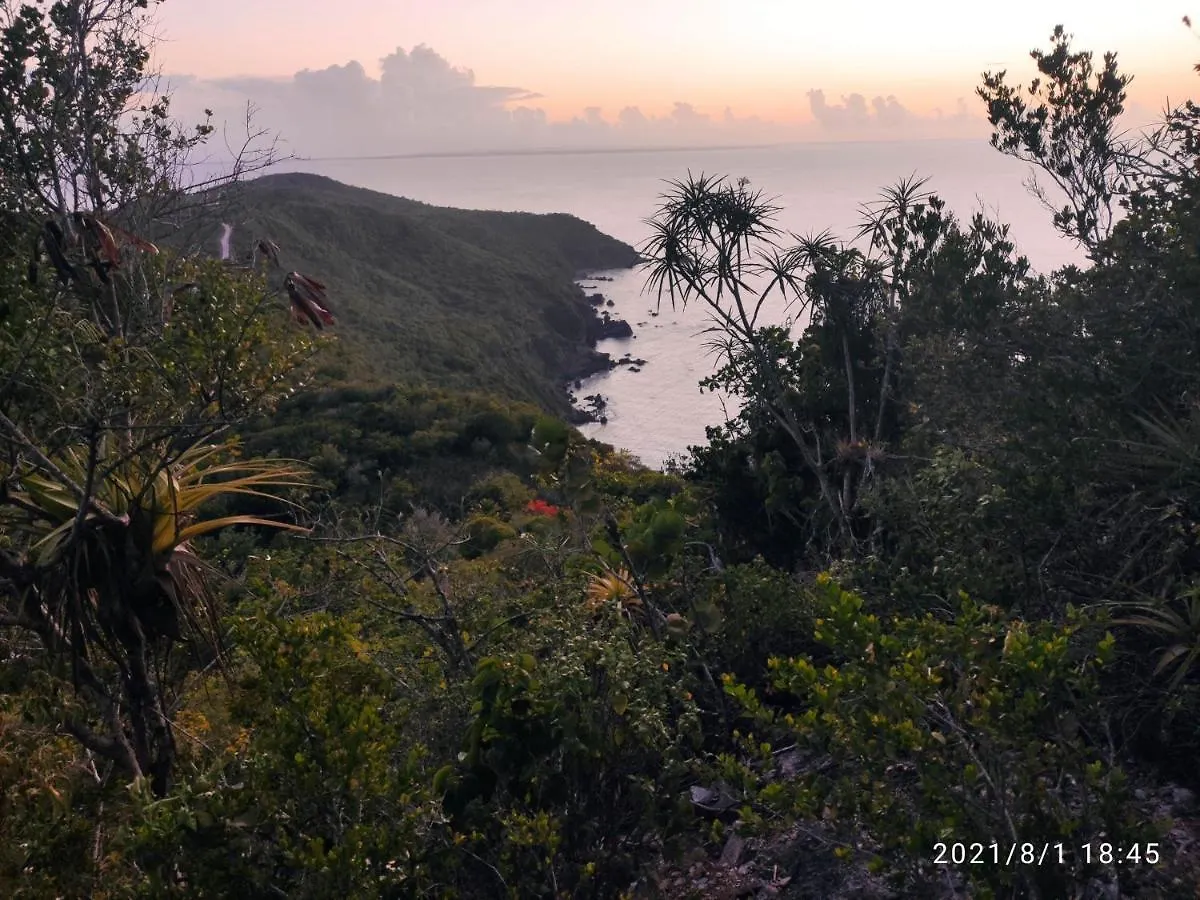 Gites Les Anacardiers Iguane Grande Anse  Apartment Grande Anse (Grande-Terre)